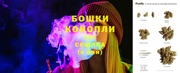 PSILOCYBIN Балабаново