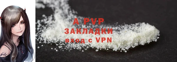 PSILOCYBIN Балабаново