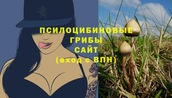 PSILOCYBIN Балабаново
