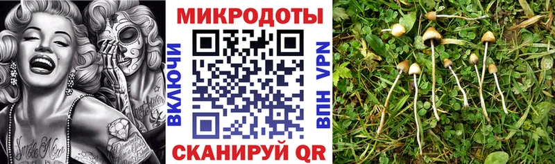 Псилоцибиновые грибы Psilocybine cubensis  ссылка на мегу ТОР  Обь 